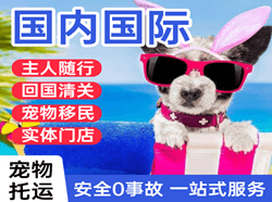 乌鲁木齐机场物流国际宠物托运 【国